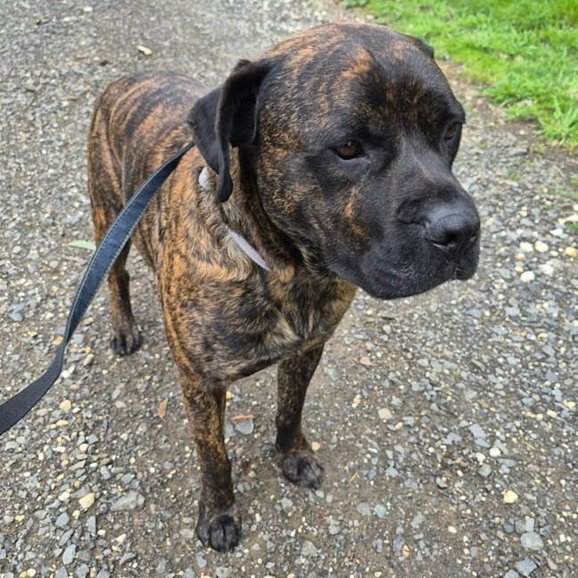 Photo of Rex