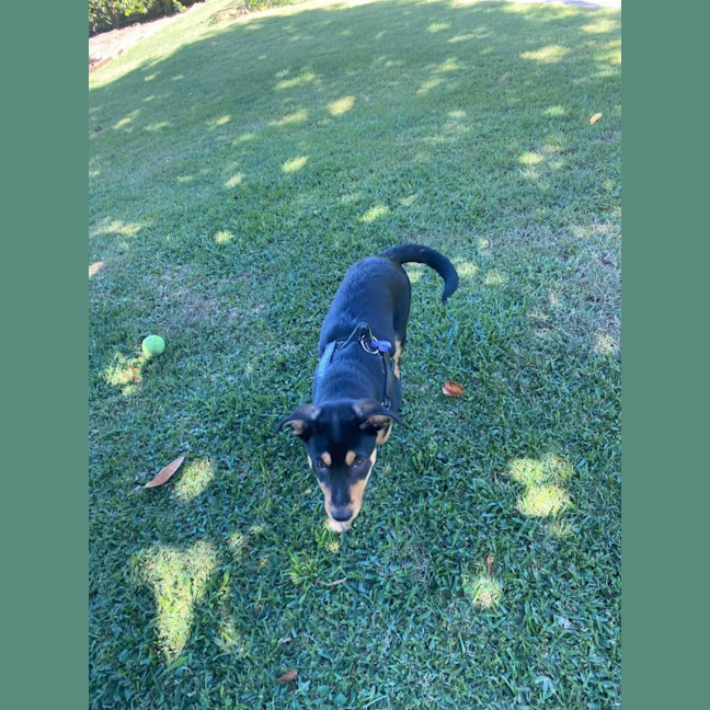 Photo of Stormy