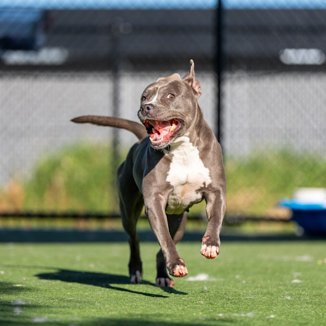 Photo of Versace Imp 1821