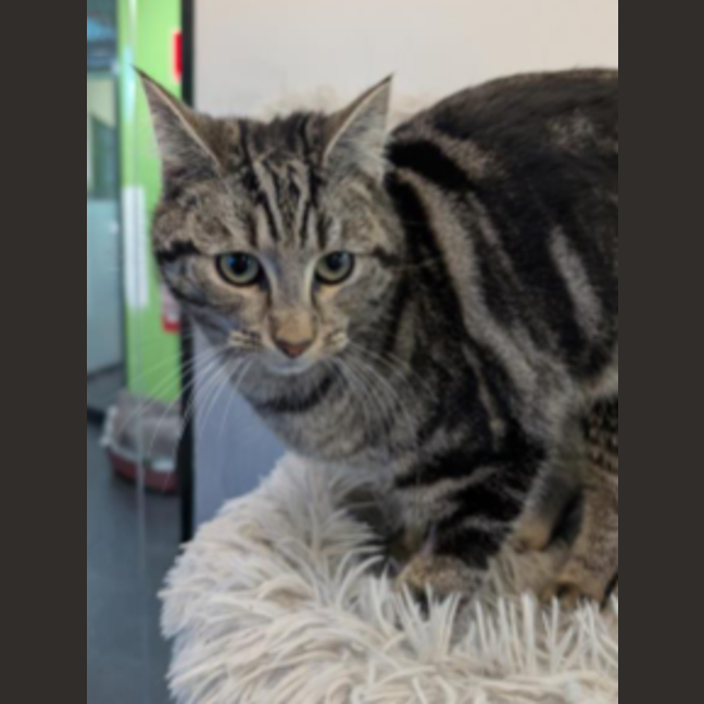 Photo of Mrs. Cunningham