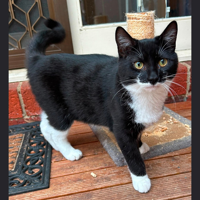Photo of Theodore