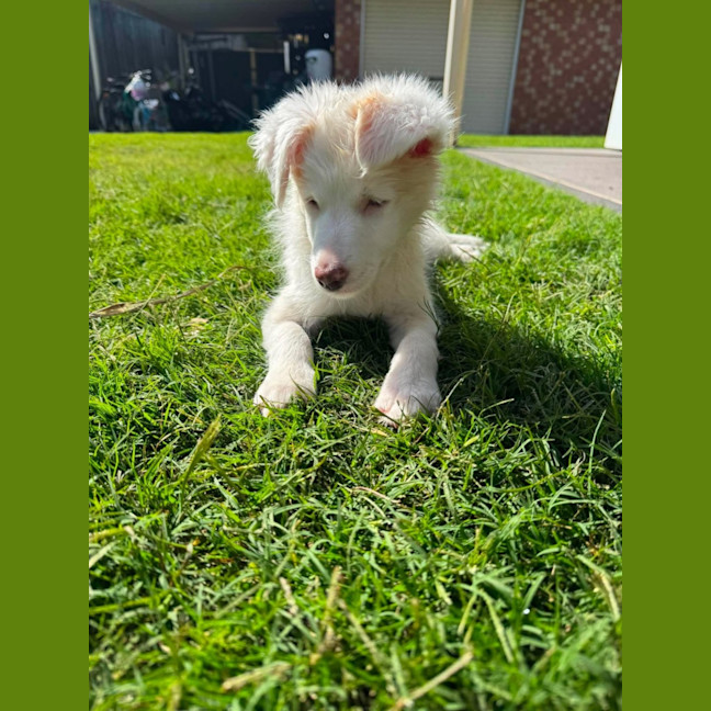 Photo of Tilly