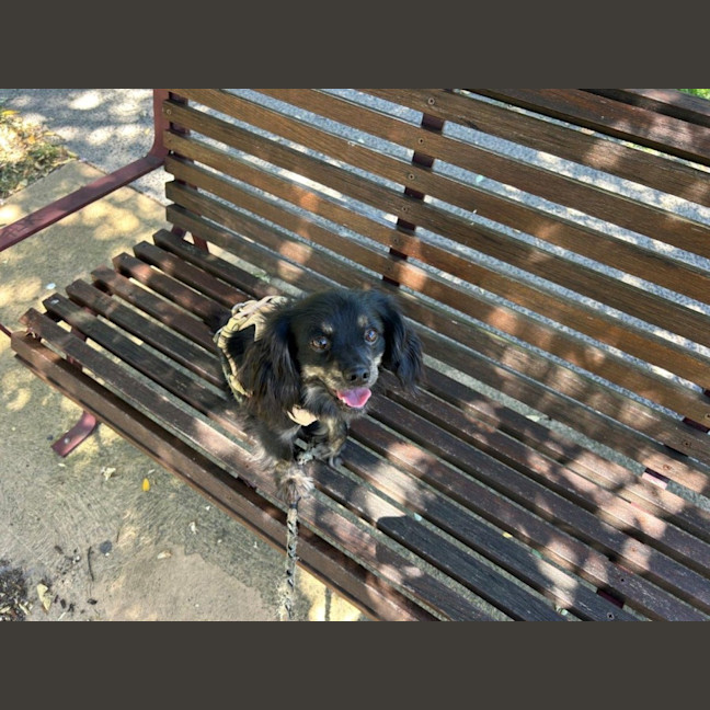 Photo of Tommy Allbright