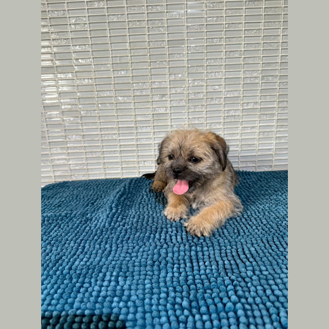Photo of Olly