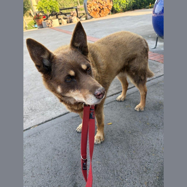 Photo of Roxy Everhart