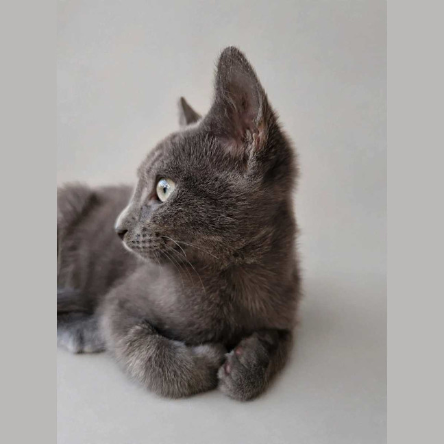 Photo of Tobias
