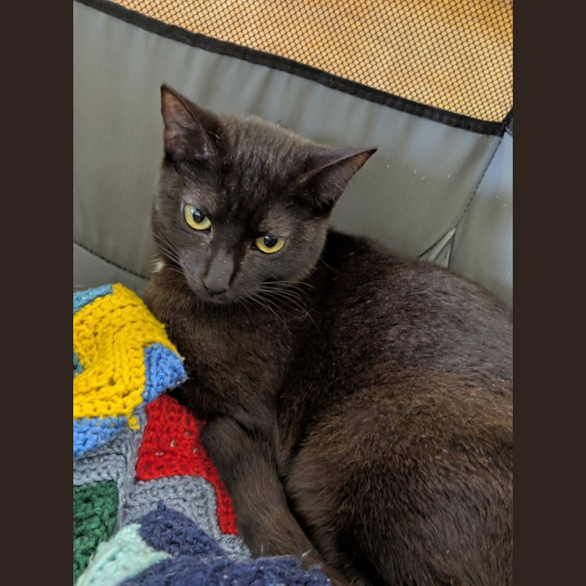 Photo of Vera