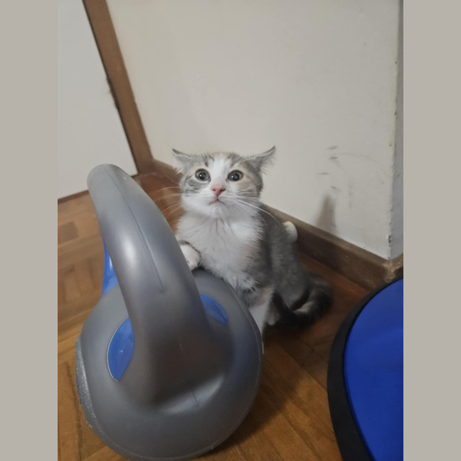 Photo of Turbo