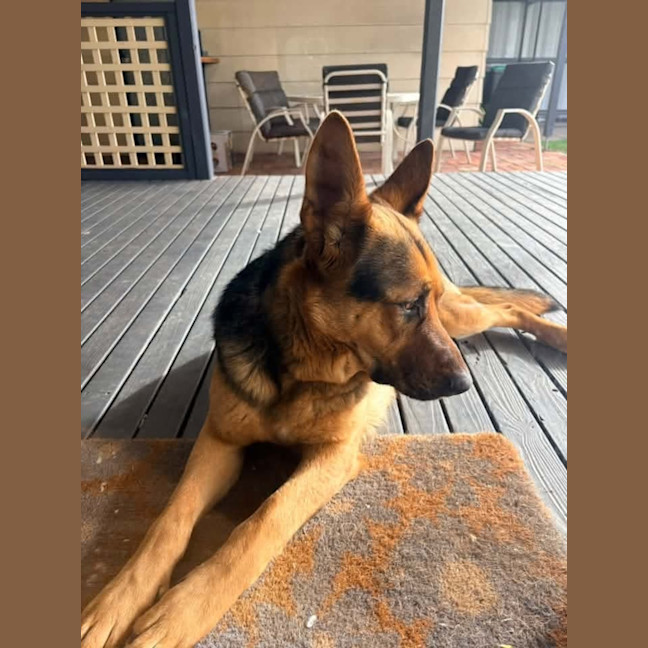 Photo of Hugo