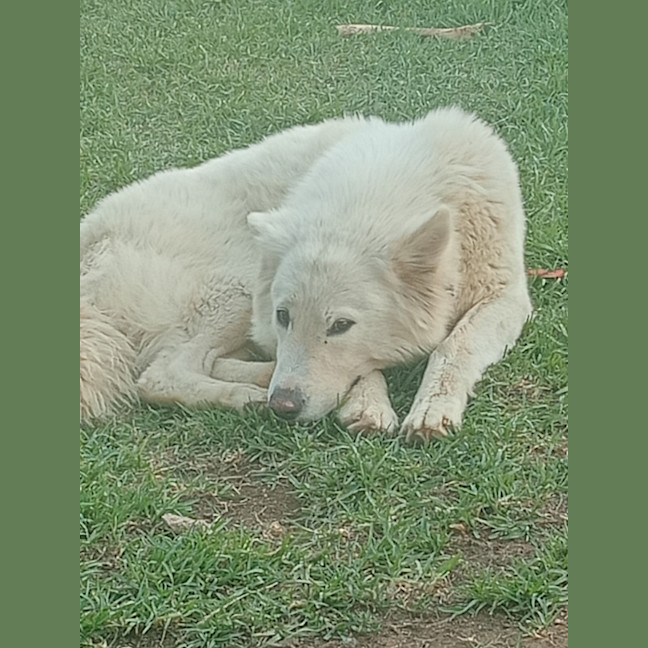 Photo of Holly