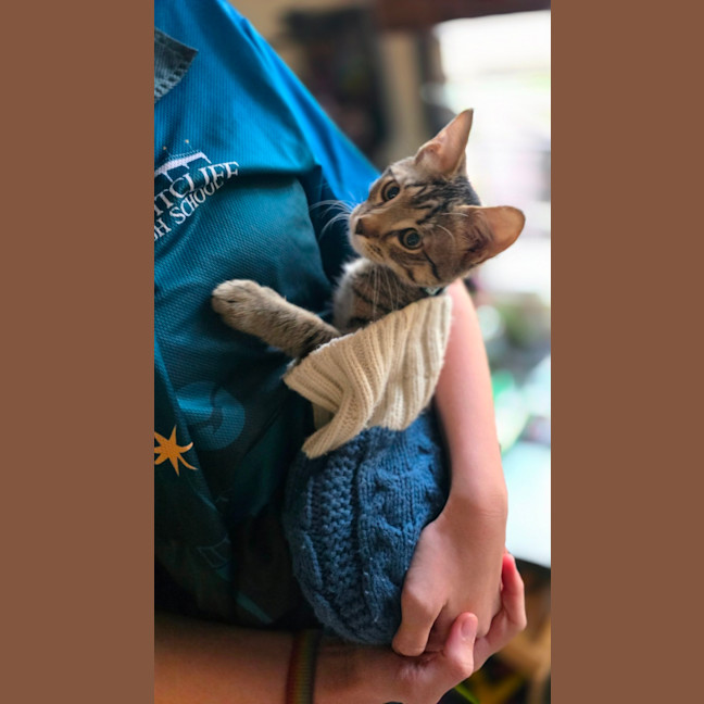 Photo of Milo
