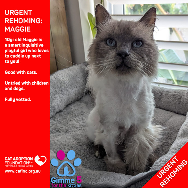Photo of Maggie