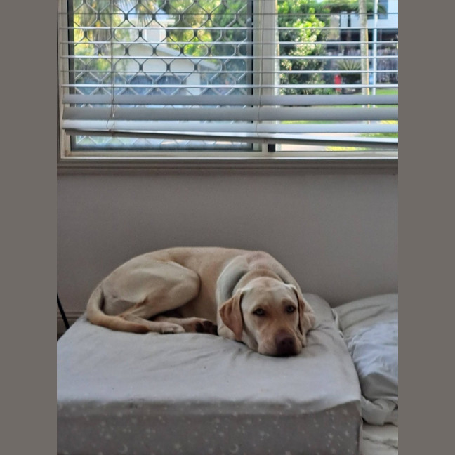 Photo of Bingo
