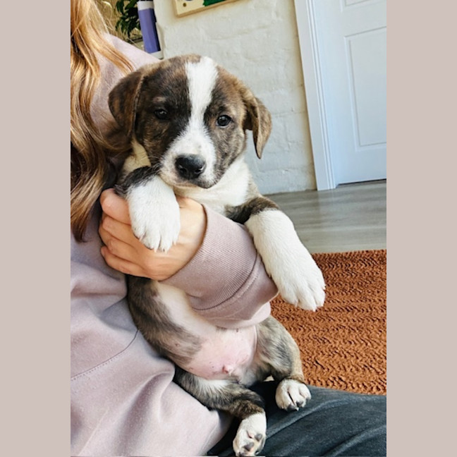 Photo of Buzzer