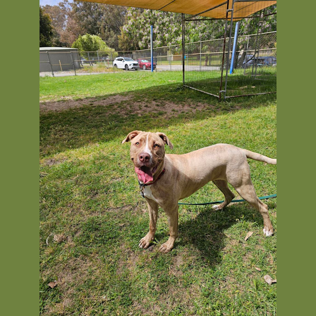 Photo of Clifford