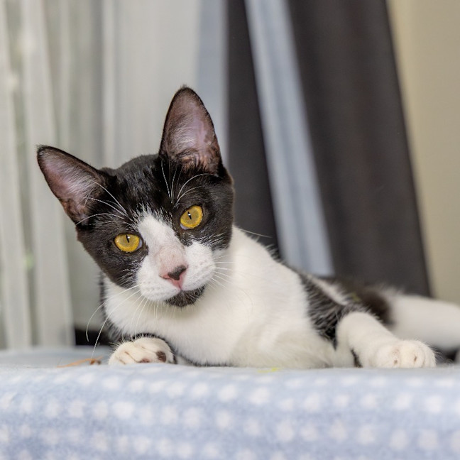 Photo of Monty