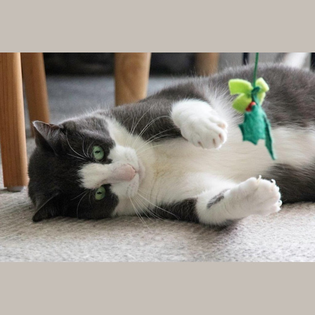 Photo of Billy Ebsworth