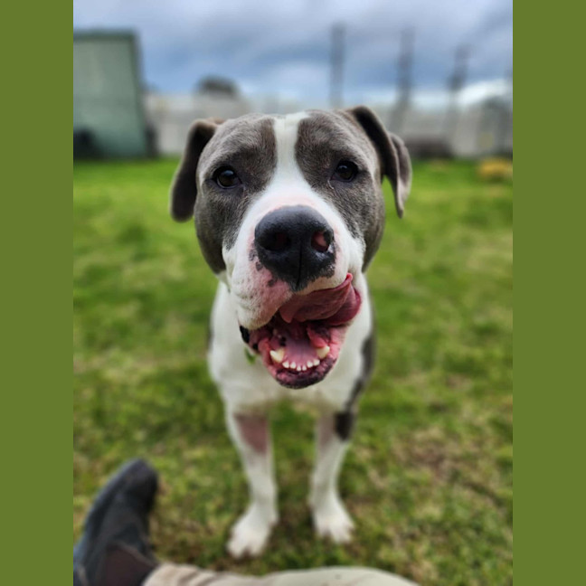 Photo of 🧱 Mason 6377 🧱