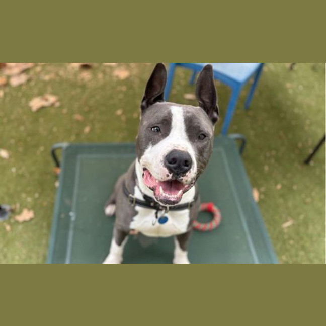 Photo of Roo