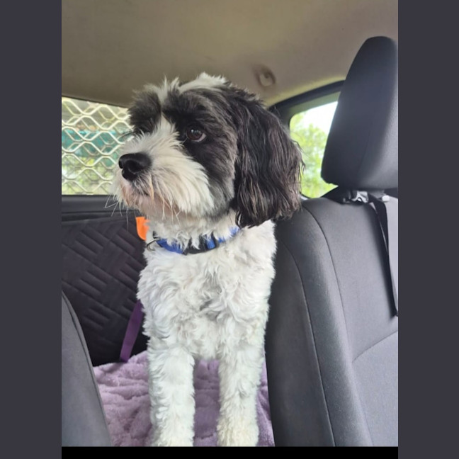 Photo of Wally
