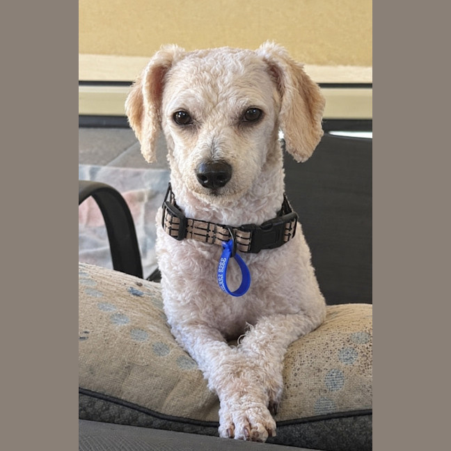 Photo of Edie
