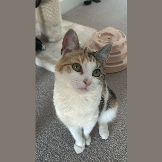 Photo of Nami