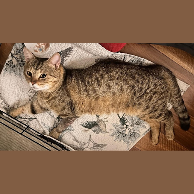 Photo of Steve