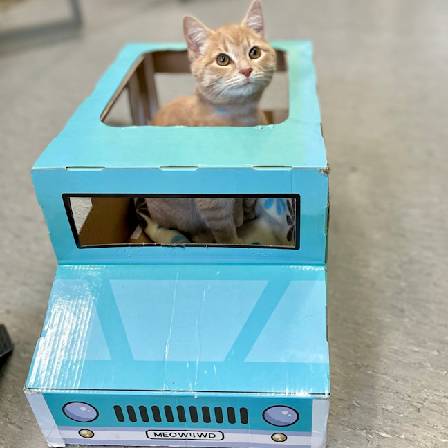 Photo of Dennis