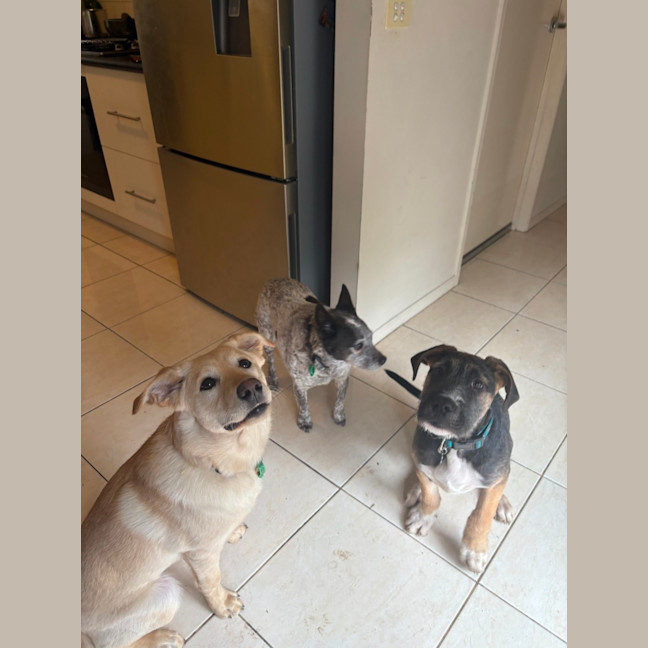 Photo of Russel Dara