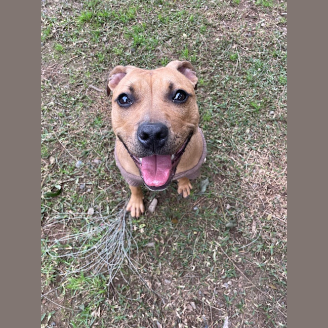 Photo of Luna