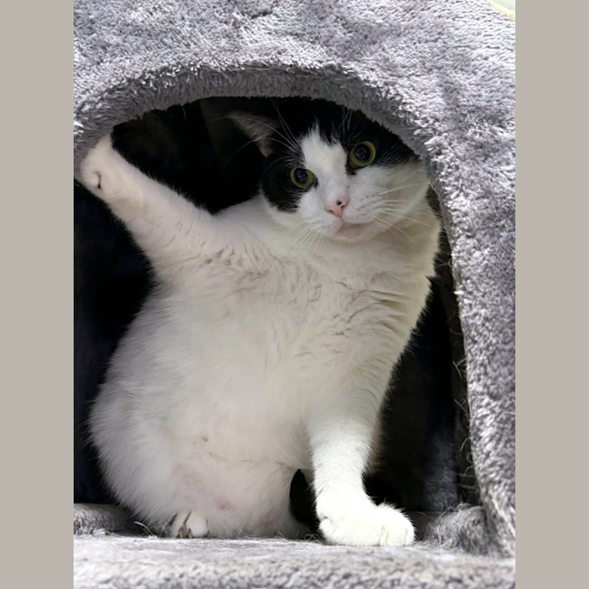 Photo of Dennis Sta013574