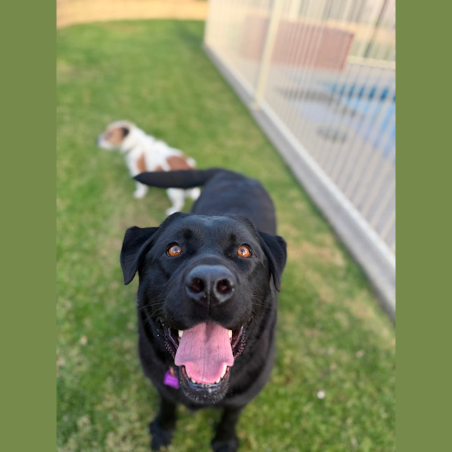 Photo of Rubee