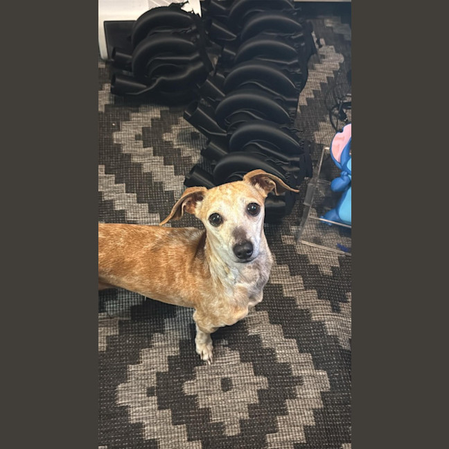 Photo of Nelly