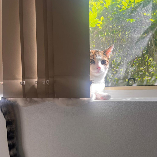 Photo of Spice