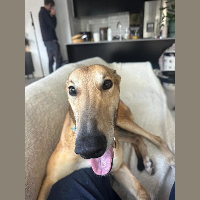 Photo of Hughie