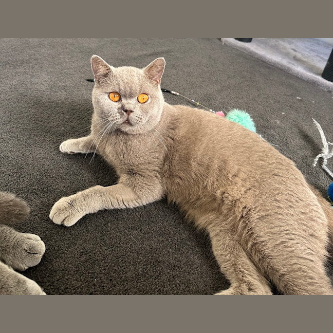 Photo of Ghost