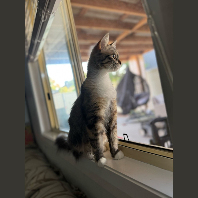 Photo of Sugar