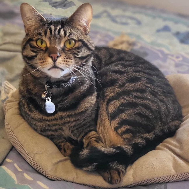 Photo of 2471   Minnie