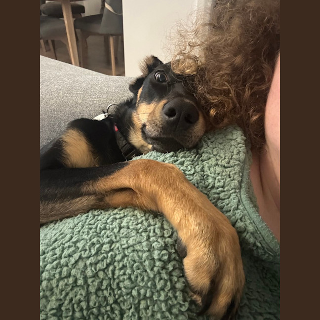Photo of Ruby