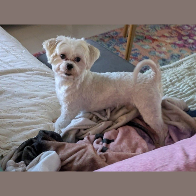 Photo of Howie Everhart