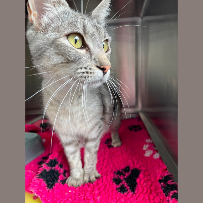 Photo of Libby