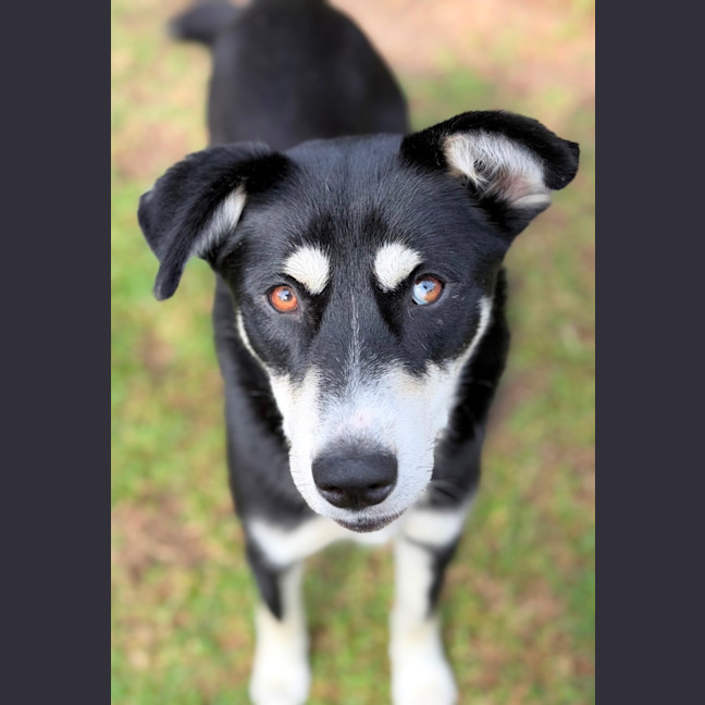 Photo of Yindi 