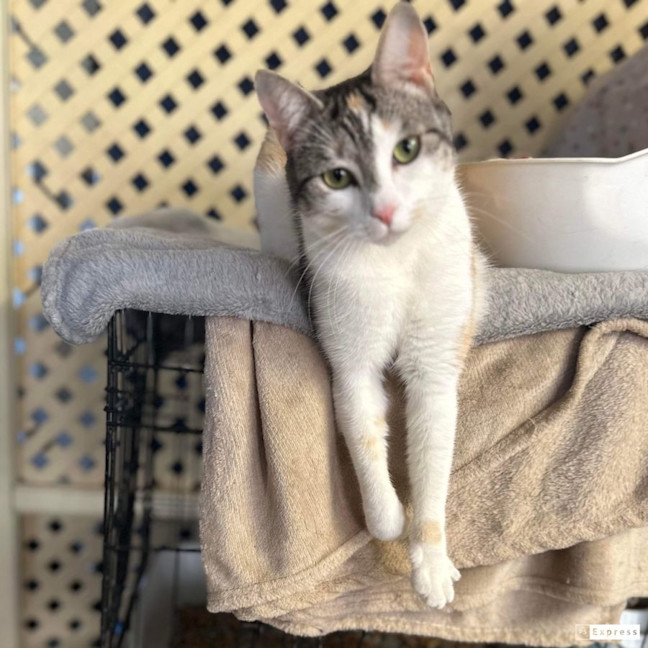 Photo of Sabrina