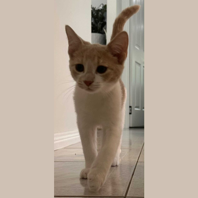 Photo of Ernie