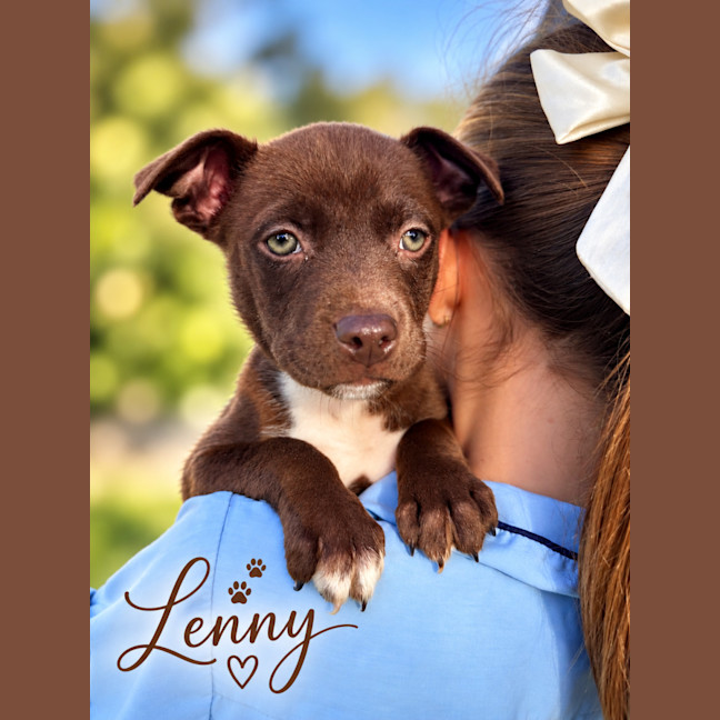 Photo of Lenny