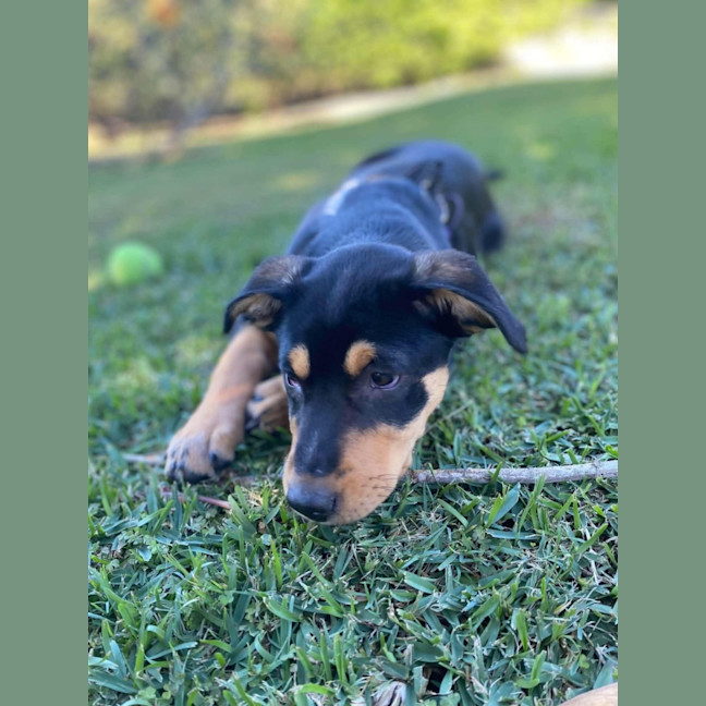Photo of Stormy