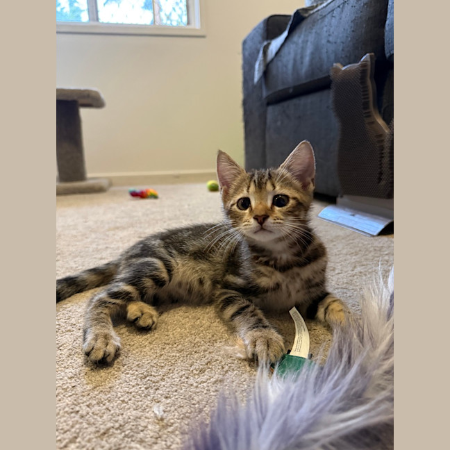 Photo of Tim Tam