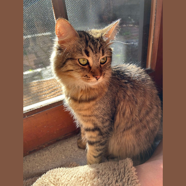 Photo of Penelope & Marshmellow 