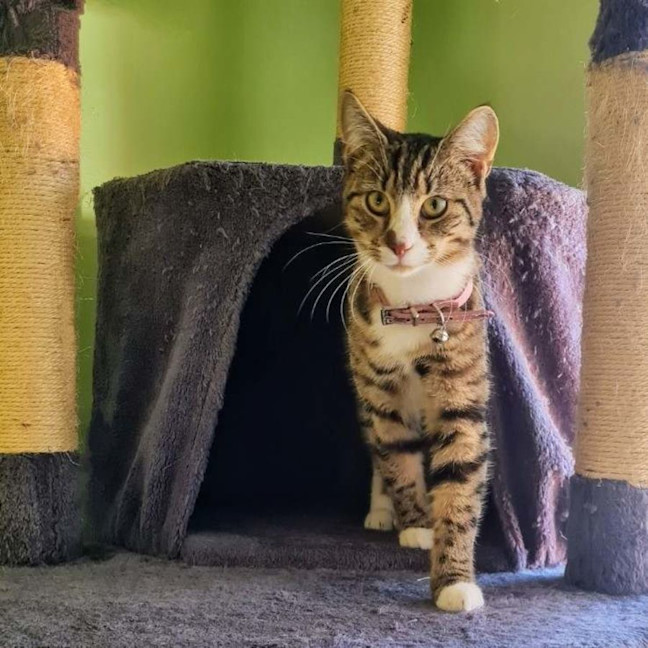 Photo of Octavia   Located In Fawkner
