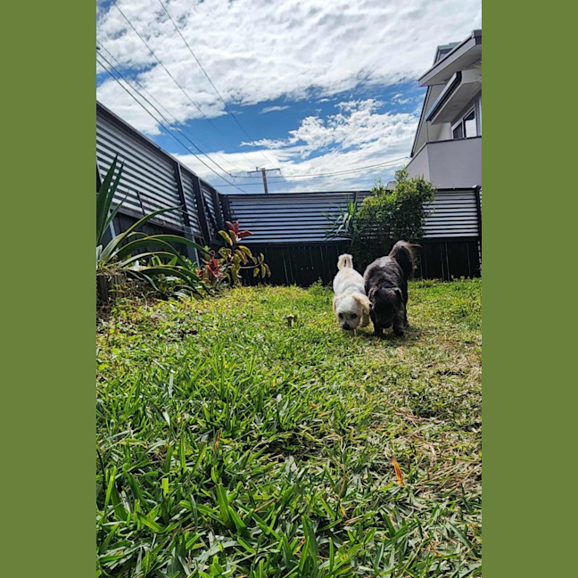 Photo of Cinder And Aj 